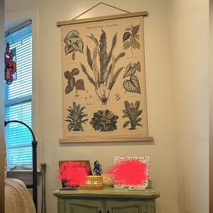 37" Epiphytic Plants Wall Banner by Ashland